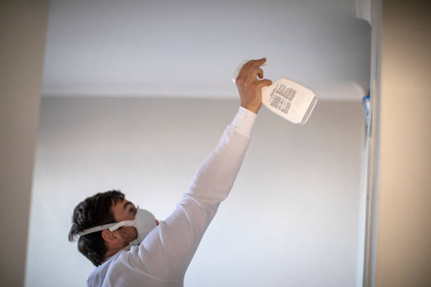Best Best Mold Removal Companies  in Franklin Farm, VA