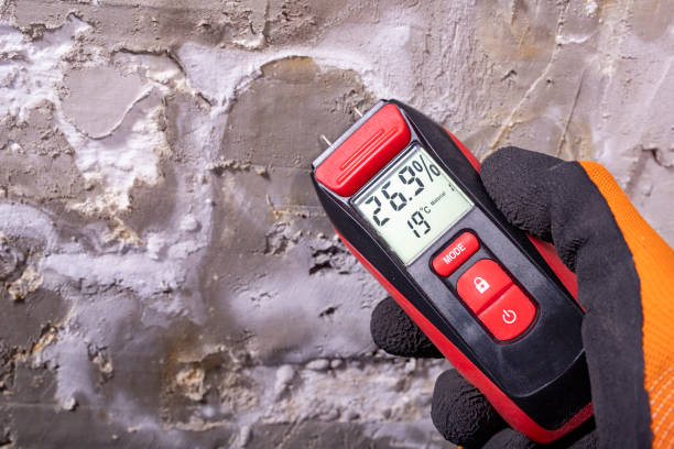 Best Certified Mold Removal  in Franklin Farm, VA