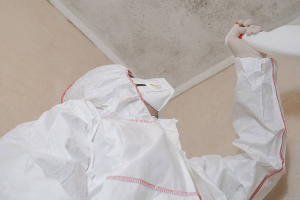Best Mold Removal Near Me  in Franklin Farm, VA