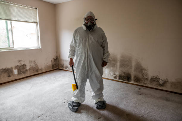 Best Residential Mold Removal  in Franklin Farm, VA